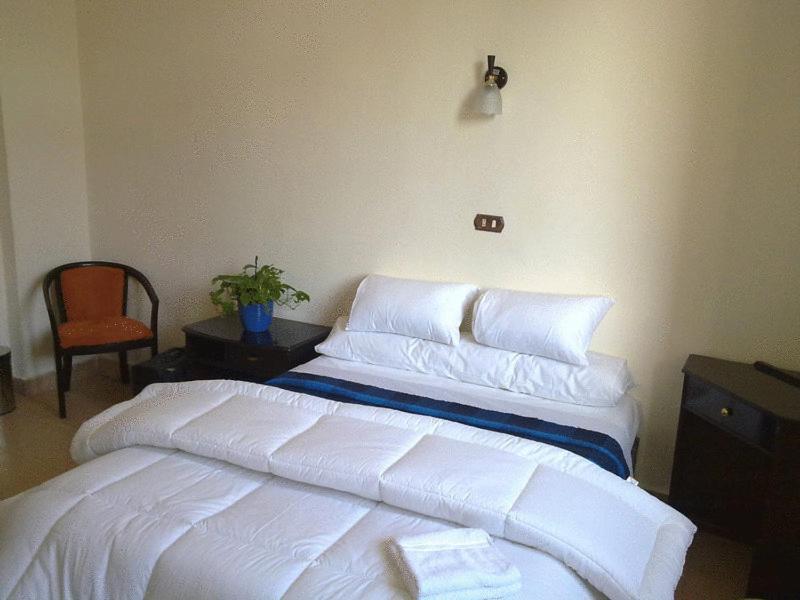 Transit Alexandria Hostel ภายนอก รูปภาพ