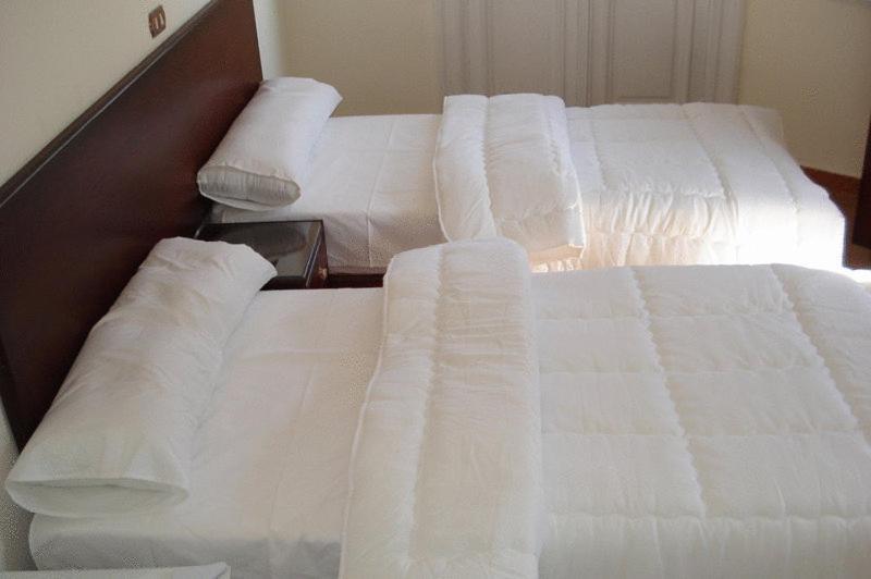 Transit Alexandria Hostel ภายนอก รูปภาพ