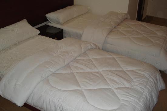 Transit Alexandria Hostel ภายนอก รูปภาพ
